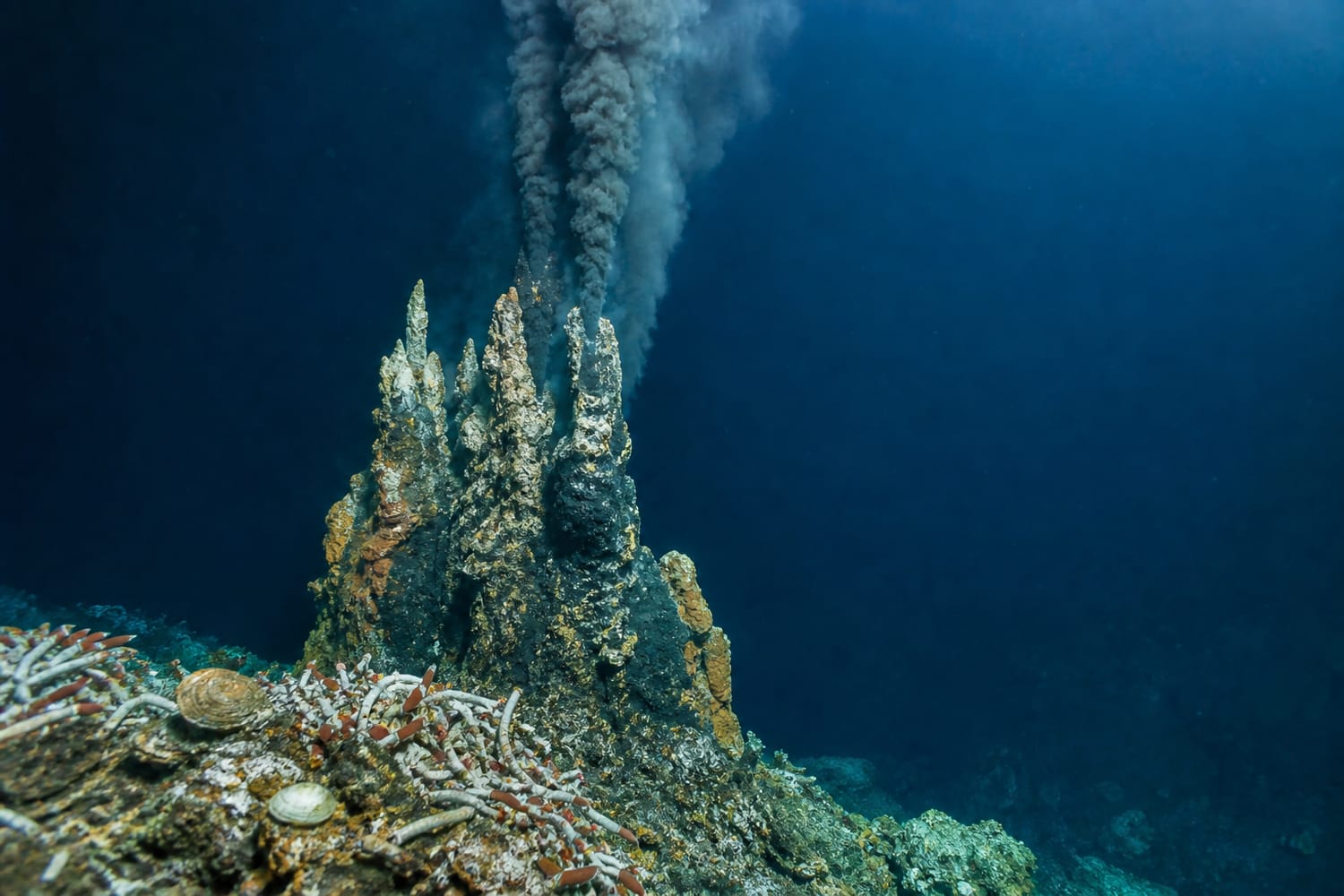 hydrothermal-vents-and-strange-deep-sea-life