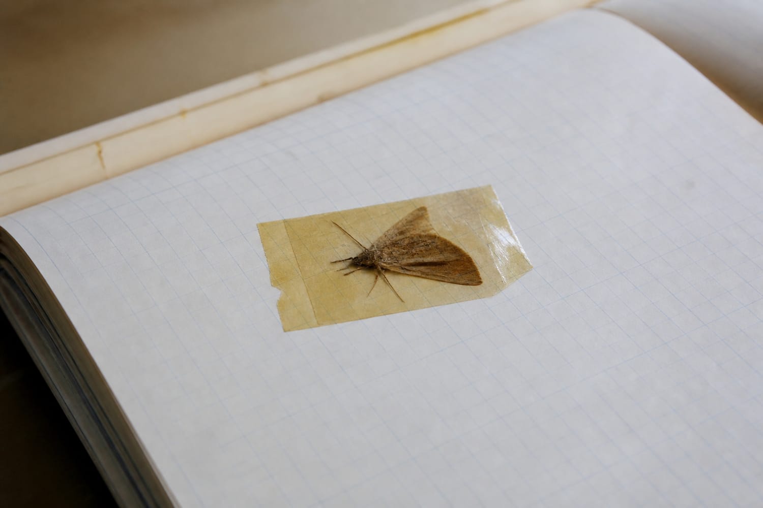 the-famous-logbook-entry