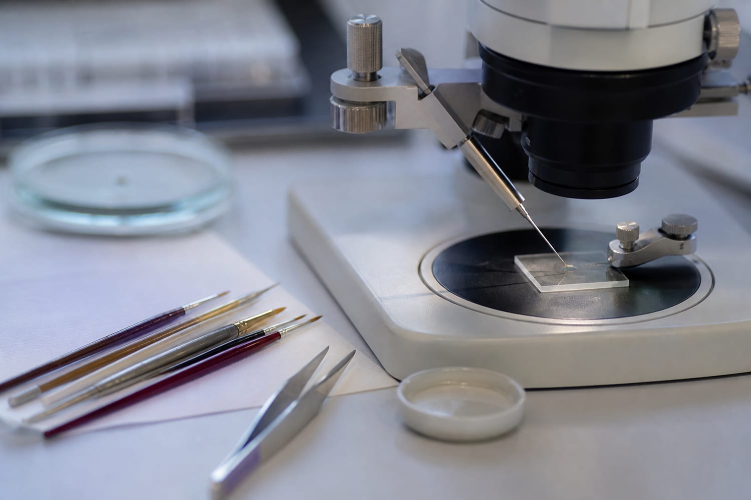 the-patience-behind-microscopic-art